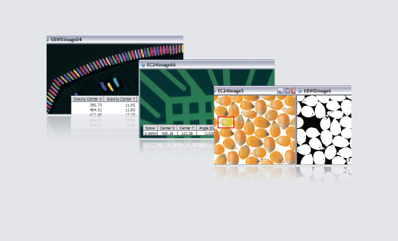 라이브러리이미지